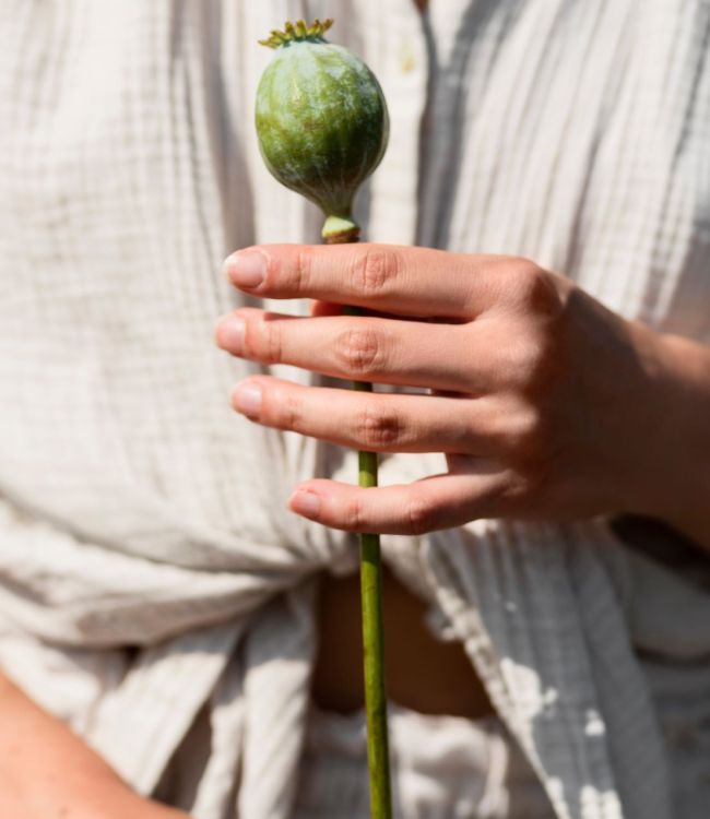 Pr&eacute;parer son corps &agrave; la maternit&eacute; : L'impact d'une d&eacute;tox sur la fertilit&eacute; et la sant&eacute; du b&eacute;b&eacute;